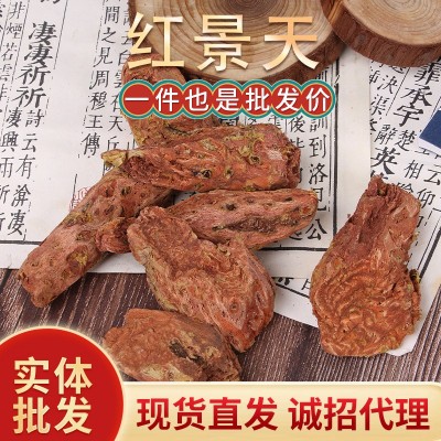 批發中藥材紅景天 可代打粉紅景天 大花紅景天藥食同源