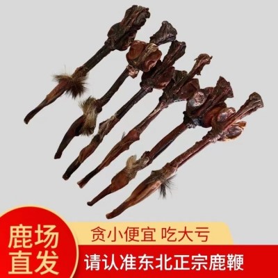 【鹿花鞭】整根干鮮鹿鞭原毛原蛋禮盒泡酒煲湯 一根也發(fā)70-100克之間