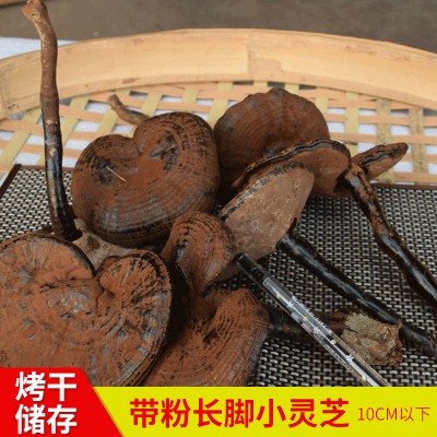 農產品500g椴木紫靈芝 不苦帶粉長腳黑靈芝 干貨特產10cm長柄靈芝