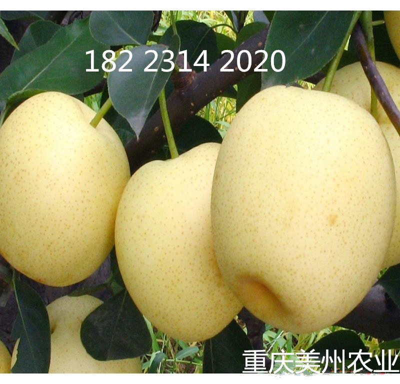 lyhd1232019190125_副本_副本