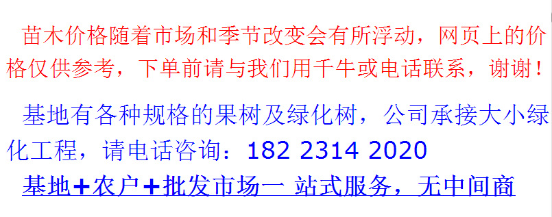 QQ截圖20170720201549