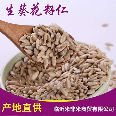 生葵花籽仁無殼生瓜子仁榨油糕點月餅果仁原料批發(fā)25kg油葵仁