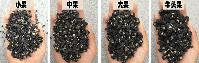 790普通貨規(guī)格圖