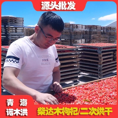 紅枸杞青海柴達(dá)木非寧夏枸杞子大果500g散裝諾木洪枸杞一件代發(fā)