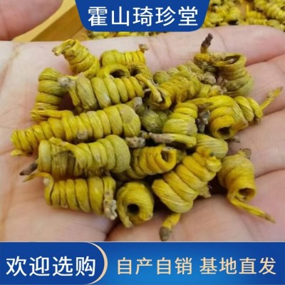 霍 山米斛楓斗 米 斛廠家 龍頭鳳尾 原產(chǎn)地發(fā)貨基地直供 營養(yǎng)豐富