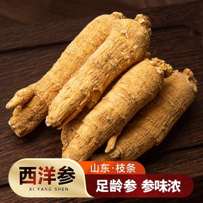 山東西洋參枝條500克 國產(chǎn)花旗參整根整支5年參齡軟枝批發(fā)